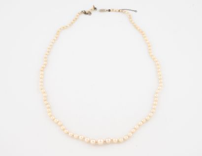 Collier de perles de culture blanches en...