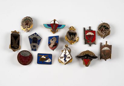 Douze insignes para divers : 3e RPIMa, 10e...