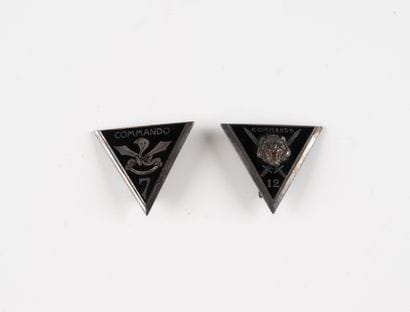Two badges: Commando no. 7. (D. Rom) and...