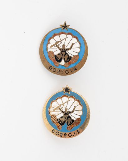 Deux insignes du 602e G.I.A. (Un bon modèle...