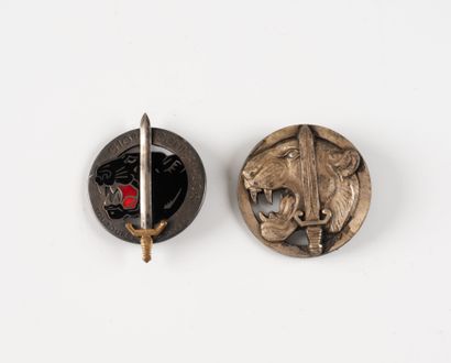 Two badges: Commando 610 (Drago) and Commando...