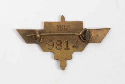 Lot d'insignes comprenant :
* Un moustique...