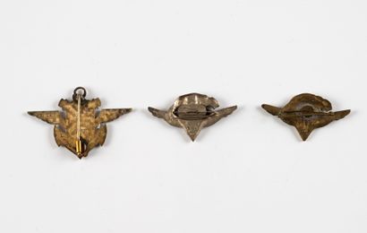 Two badges: 2 from BAP 191 (local and Augis...