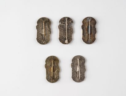 Five badges of the 1st Para Vietnamese Battalion....