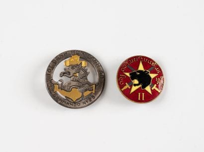 Two badges: Commando No. 25 (D.O.M) and Groupement...