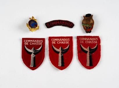 Two metal badges and fabric badges: Commando...
