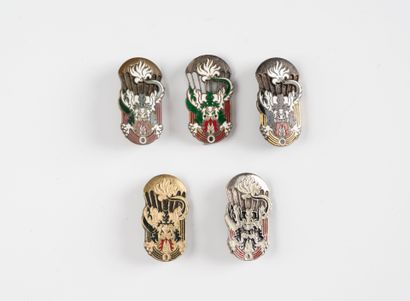 Five badges of the 1st Para Vietnamese Battalion....