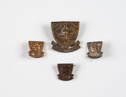 Four badges: Commando Dinassau No. 3, numbered...