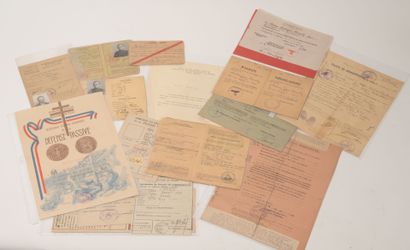 Lot de documents, carte d'identité sanitaire,...