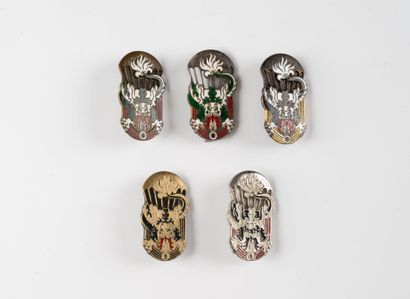 Five badges of the 1st Para Vietnamese Battalion....