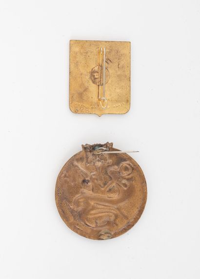 Two badges: Tonkin amphibious flotilla. Numbered...