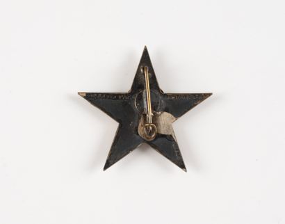 Insignia of the S.E.S. -Section d'éclaireurs-skieurs-...