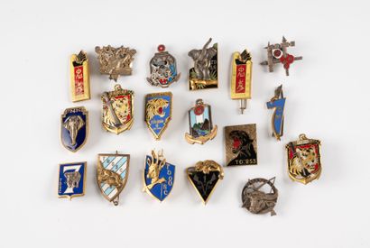 Eighteen THAI badges, including montagnards....