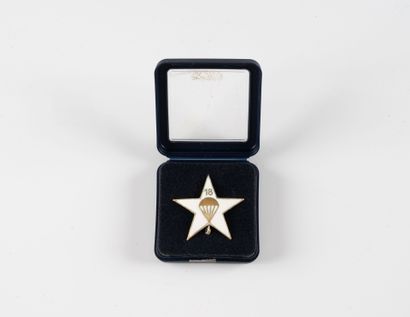 Insigne de la Section d'Eclaireur Skieur...