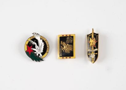 Three badges: Commando no. 45 (D. Rom), GMFV...