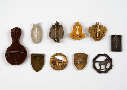 Dix insignes divers : 155 Rif, Maginot, Son-Ta,...