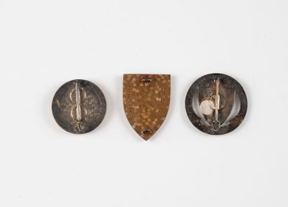 Three badges: 1er Quan Doi Botuc -Force Supplétive-(D....