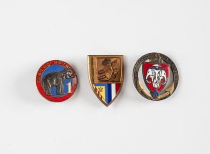 Three badges: 1er Quan Doi Botuc -Force Supplétive-(D....