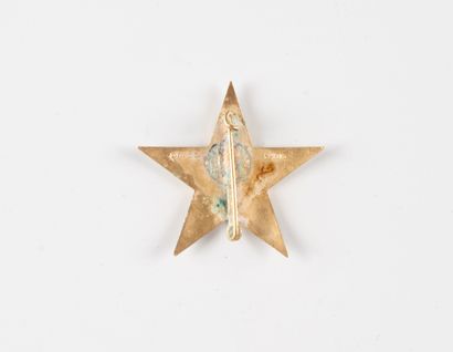 Insigne de la Section d'Eclaireur Skieur...