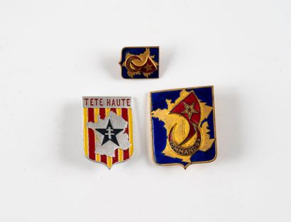 Three badges: 1 Commando d'Afrique (AB) and...