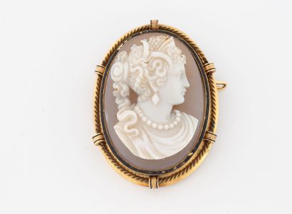 Yellow gold (750) medallion brooch set with...