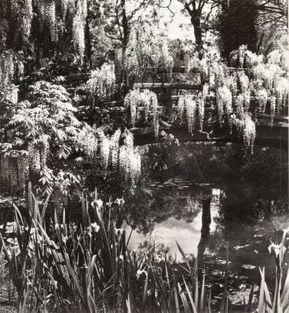 Willy MAYWALD (1907-1985)
Monet's Garden,...