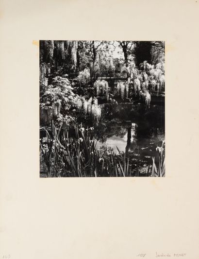 Willy MAYWALD (1907-1985)
Monet's Garden,...