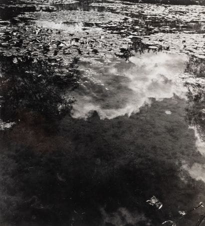Willy MAYWALD (1907-1985)
Monet's garden...