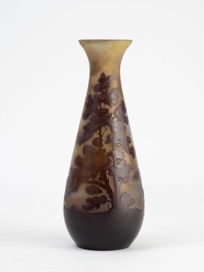 Établissements GALLE
Vase piriforme à fond...