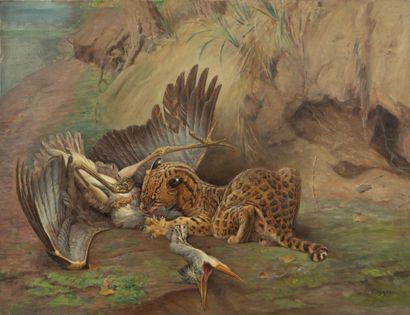 Paul Edouard MERITE (1861-1941)
Ocelot attaquant...