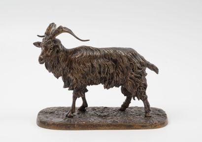 D'après Pierre-Jules MENE (1810 - 1879)
Bouc...