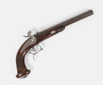 Officer-type pistol.
Percussion rear plate...