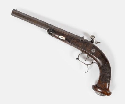 Officer-type pistol.
Percussion rear plate...