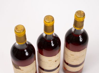 CHÂTEAU D'YQUEM
3 bouteilles, 1984.
Lur-Saluces.
Sauternes....
