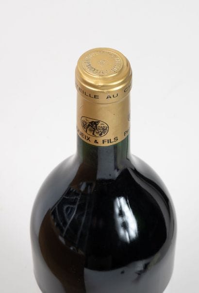 CHÂTEAU GRANDS SILLONS GABACHOT
6 magnums,...