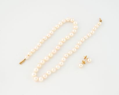 COLLECTION CATHERINE DENEUVE
Necklace of...