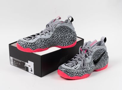 NIKE Air Foamposite Pro Elephant Print
Pair...