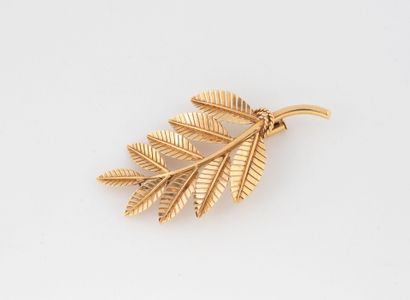 Leaf brooch in yellow gold (750), the leaves...