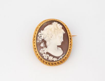 Yellow gold (750) oval brooch centered with...