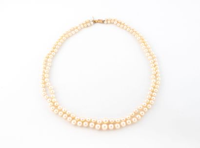 Necklace with two rows of cultured pearls.
Yellow...