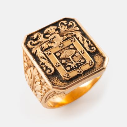 Important signet ring in yellow gold (585)...