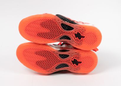 NIKE, Foamposite Thermal Map
A pair of Nike...