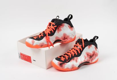 NIKE, Foamposite Thermal Map
A pair of Nike...