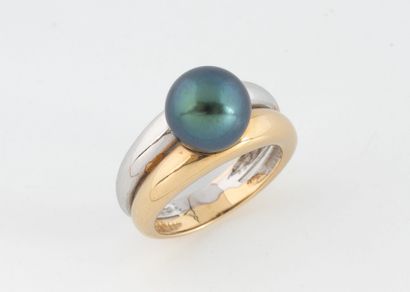 Two-band ring in white and yellow gold (750)...