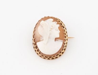 Yellow gold (750) brooch set with an oval...