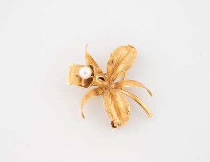Orchid brooch in yellow gold (750) holding...