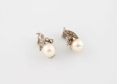 Pair of ear clips in white gold (750) set...