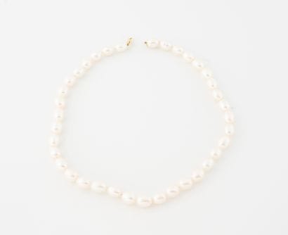 Choker necklace adorned with large white...