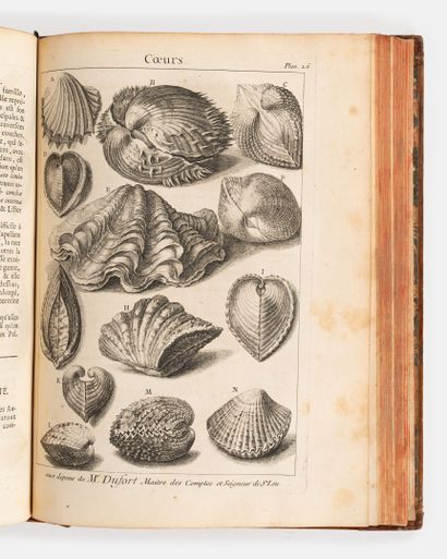 DEZALLIER D'ARGENVILLE. (J.Q.).
L'histoire...