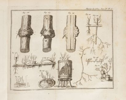 DUHAMEL DU MONCEAU Henri Louis (1700-1782)
La...
